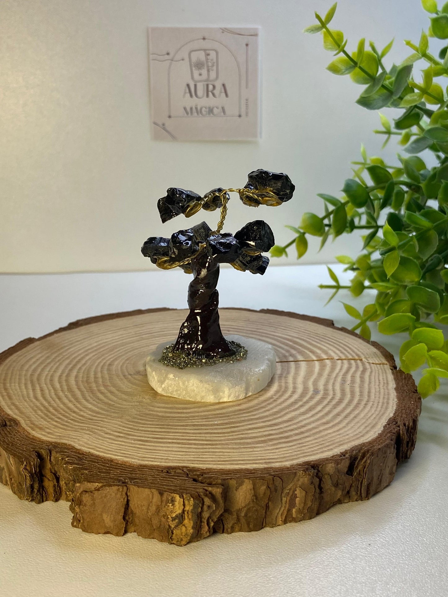 Arbol Turmalina negra
