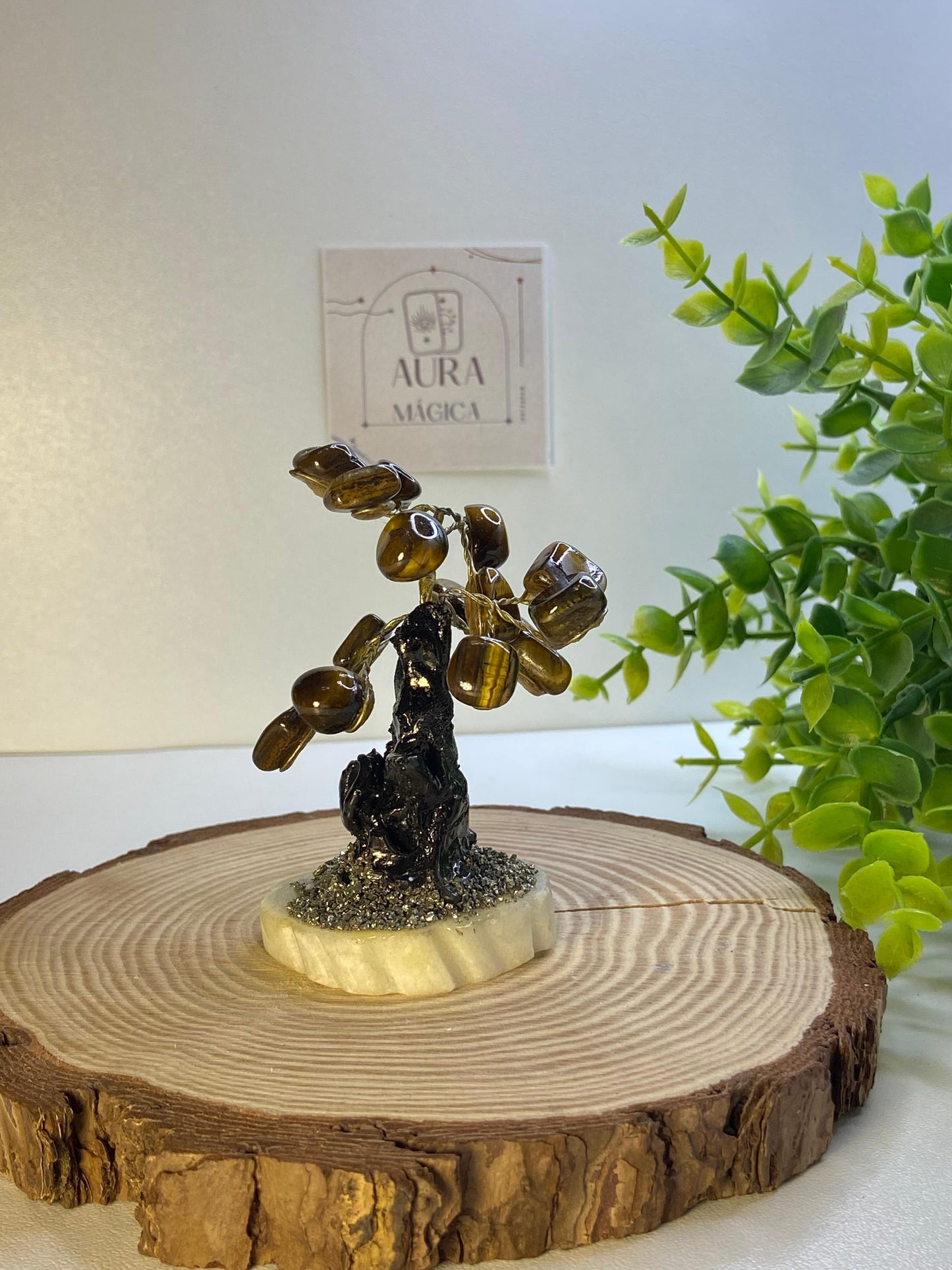 Arbol Ojo de Tigre
