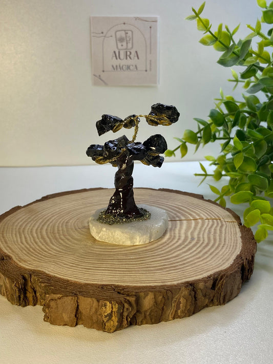 Arbol Turmalina negra