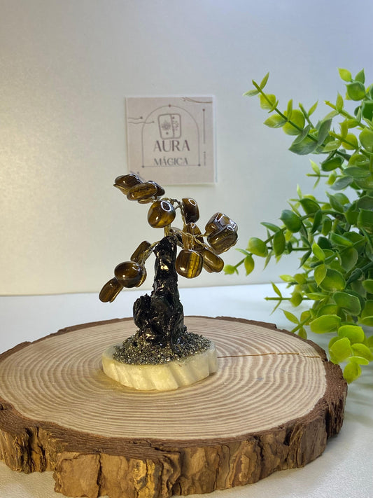 Arbol Ojo de Tigre